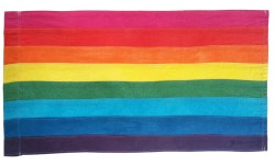 Rainbow flag with eight horizontal stripes. From top to bottom they are pink, red, orange, yellow, green, turquoise, indigo, and violet.